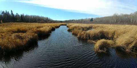 Bear Lake Hiking Trail